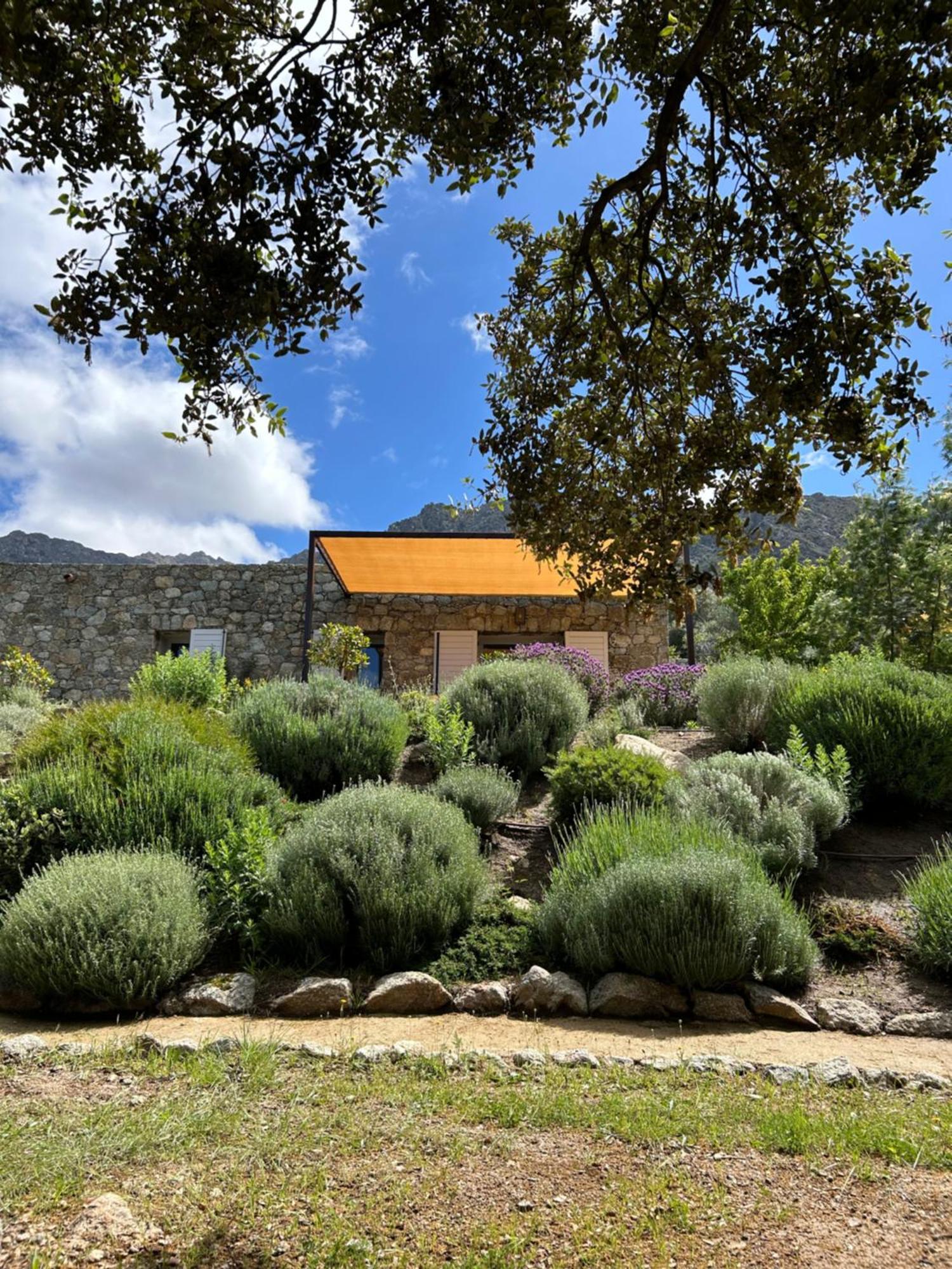 Residence Casarella Lama Εξωτερικό φωτογραφία